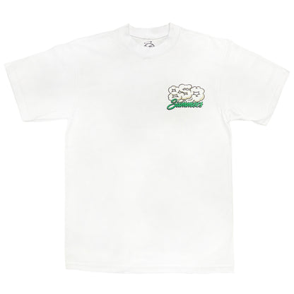 850 Summers